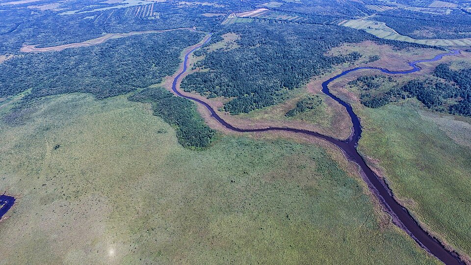 Colchic Rainforests and Wetlands, Georgia