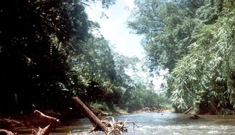 Río Plátano Biosphere Reserve, Honduras