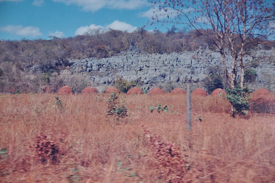 Cavernas do Peruaçu Environmental Protection Area, Brazil