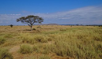 Serengeti National Park, Tanzania