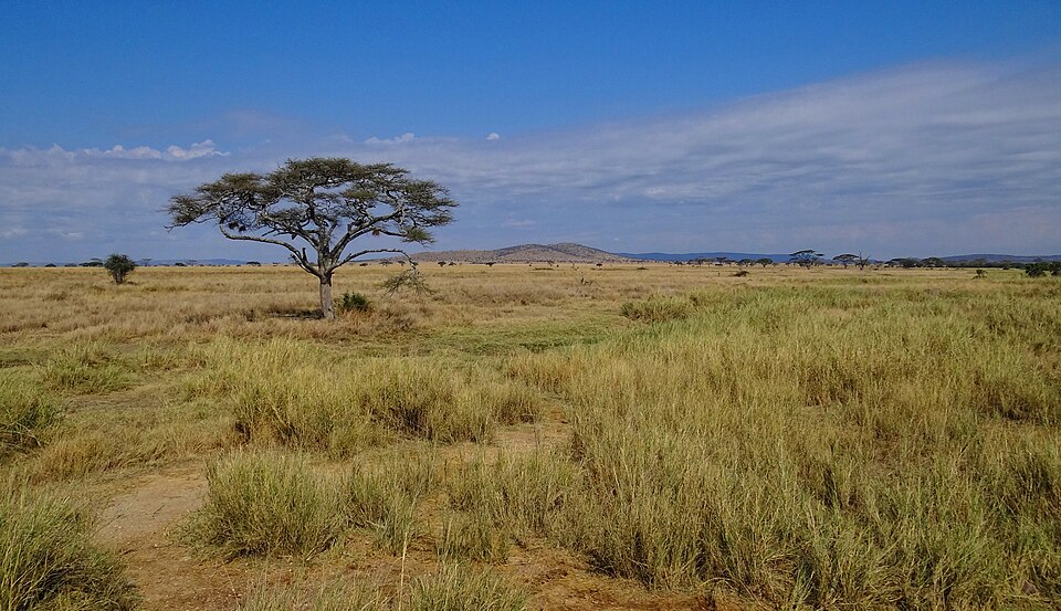 Serengeti National Park, Tanzania