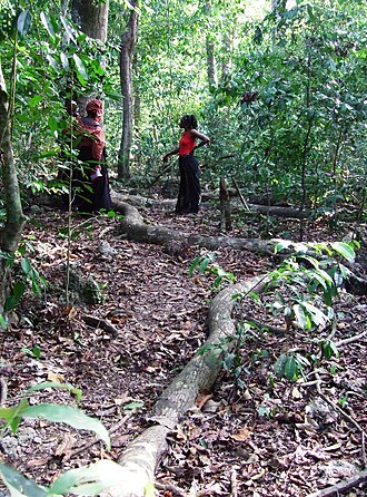 Sacred Mijikenda Kaya Forests, Kenya