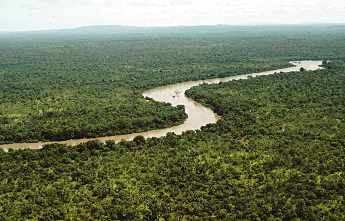 Niokolo-Koba National Park, Senegal