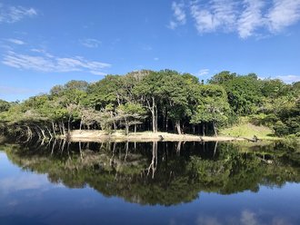 Central Amazon Conservation Complex, Brazil