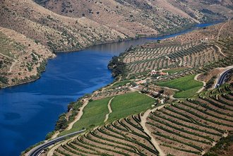 Alto Douro Wine Region, Portugal