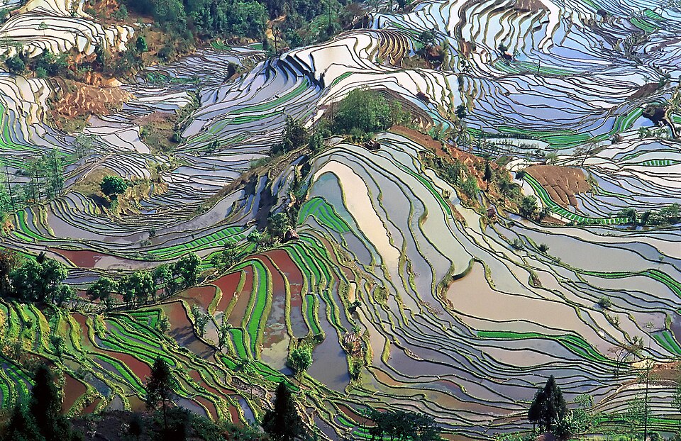 Honghe Hani Rice Terraces, China
