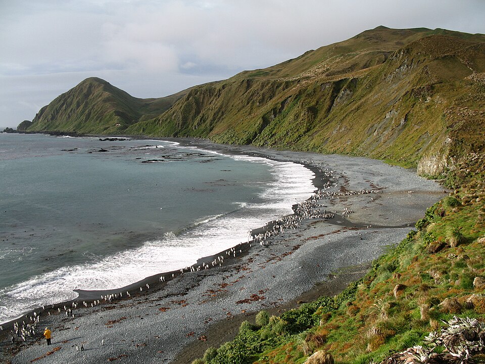 Macquarie Island, Australia