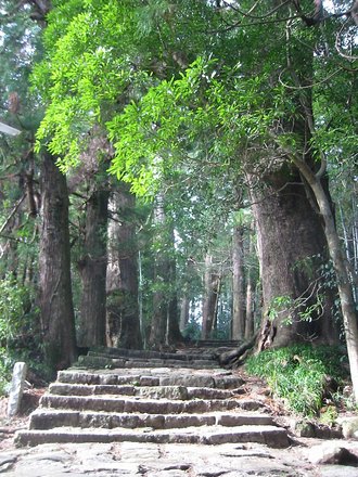 Sacred Sites and Pilgrimage Routes in the Kii Mountain Range, Japan
