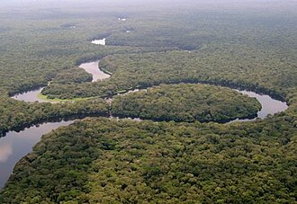 Salonga National Park, Democratic Republic of the Congo