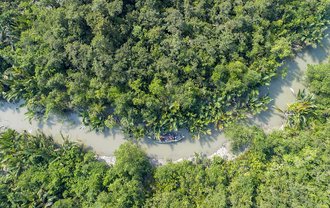 Sundarbans Reserved Forest, Bangladesh