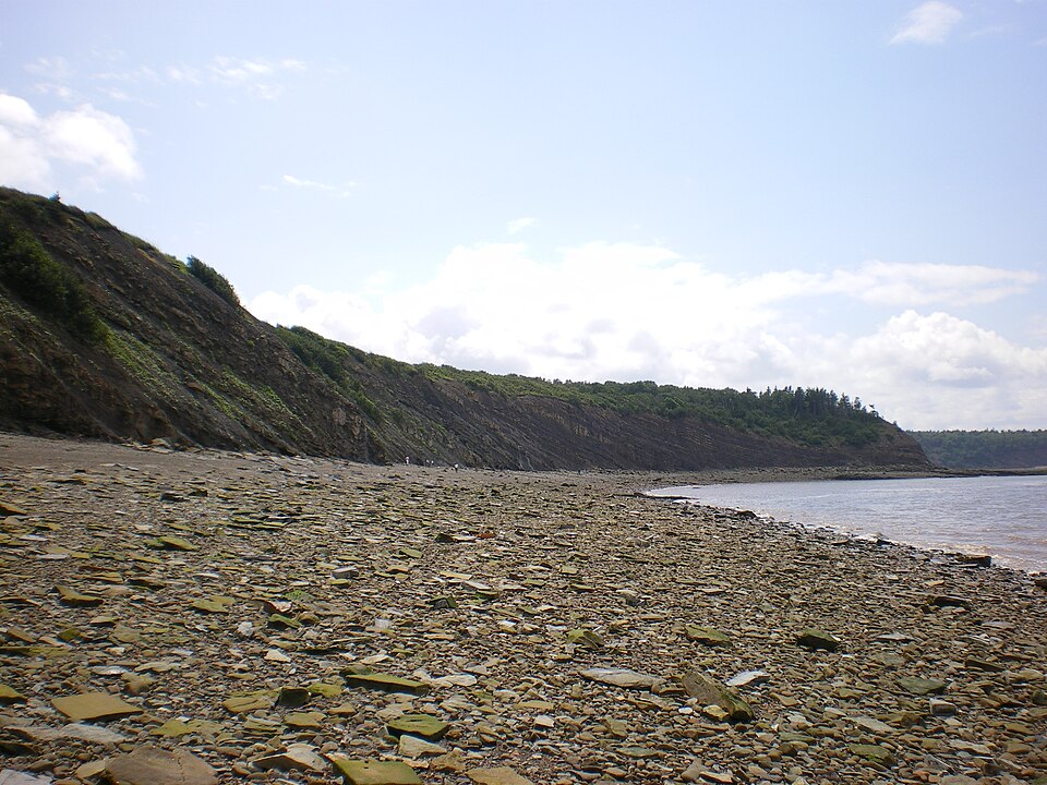Joggins Fossil Cliffs, Canada
