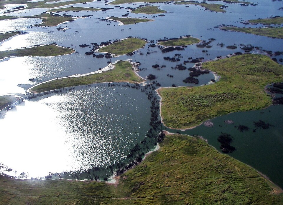 Pantanal, Brazil