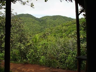 Vallée de Mai, Seychelles