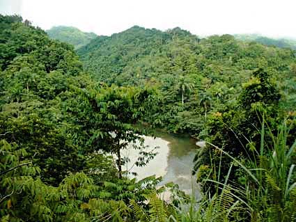 Alexander von Humboldt National Park, Cuba