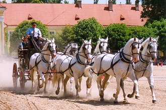 Landscape for Breeding and Training of Ceremonial Carriage Horses at Kladruby nad Labem, Czechia
