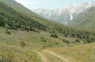Western Tian Shan, Kazakhstan