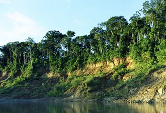 Manu National Park, Peru