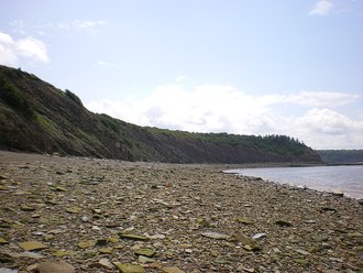 Joggins Fossil Cliffs, Canada