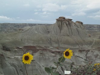 Dinosaur Provincial Park, Canada