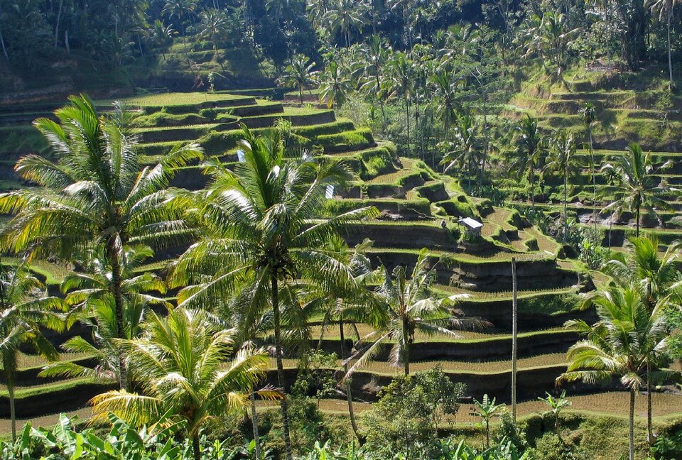 Cultural Landscape of Bali Province: the Subak System as a Manifestation of the Tri Hita Karana Philosophy, Indonesia