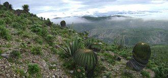 Tehuacán-Cuicatlán Biosphere Reserve, Mexico