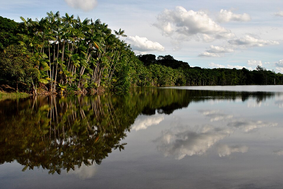 Discovery Coast Atlantic Forest Reserves, Brazil