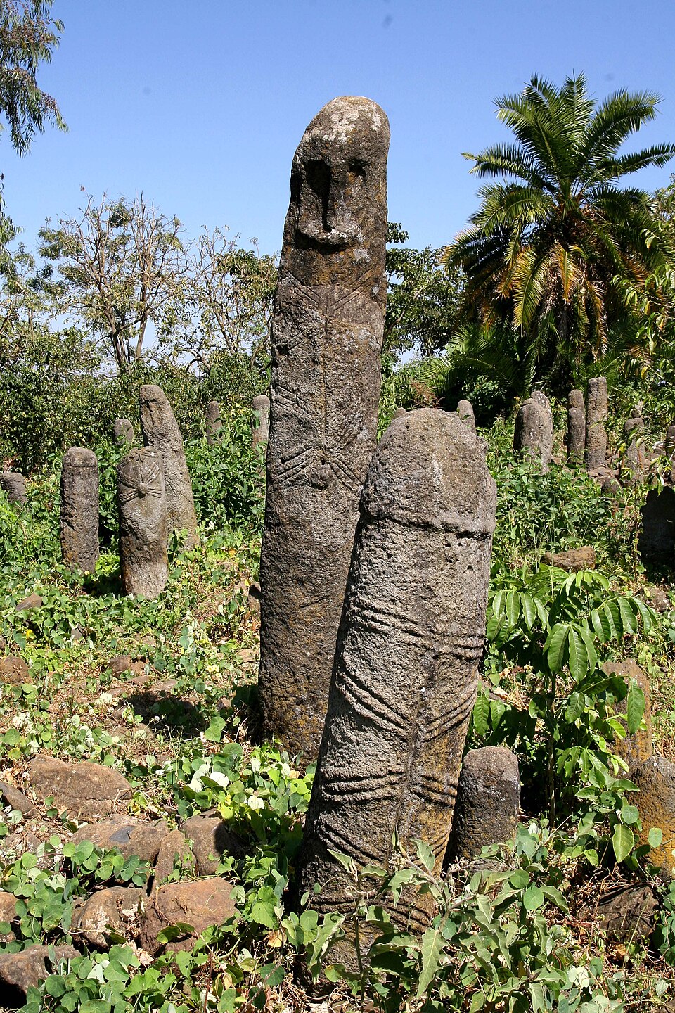 The Gedeo Cultural Landscape, Ethiopia