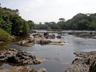 Okapi Wildlife Reserve, Democratic Republic of the Congo