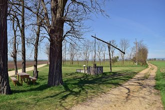 Fertö / Neusiedlersee Cultural Landscape, Austria