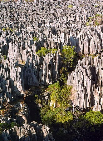 Tsingy de Bemaraha Strict Nature Reserve, Madagascar