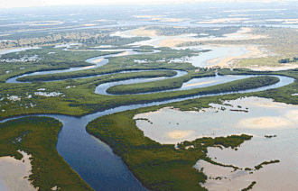 Saloum Delta, Senegal