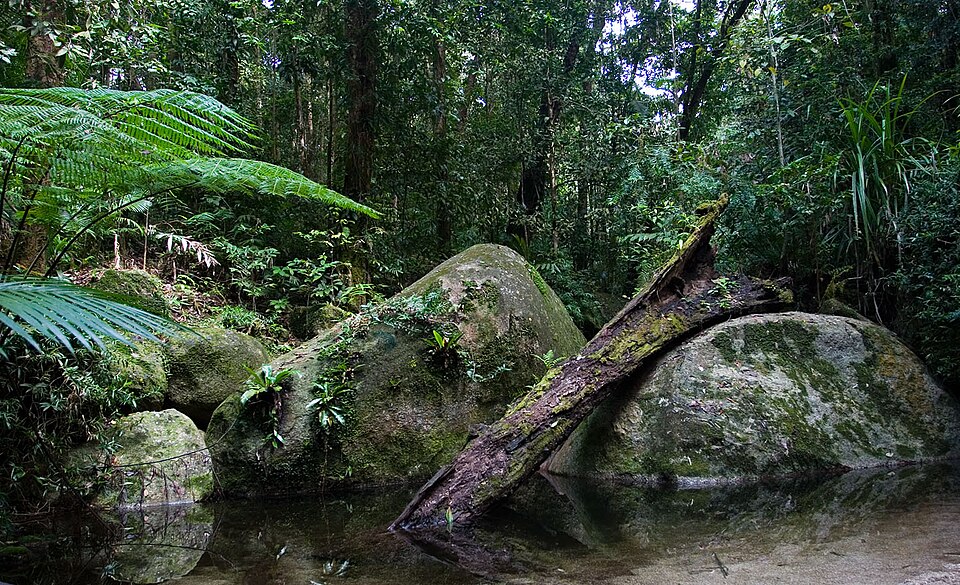Wet Tropics of Queensland, Australia