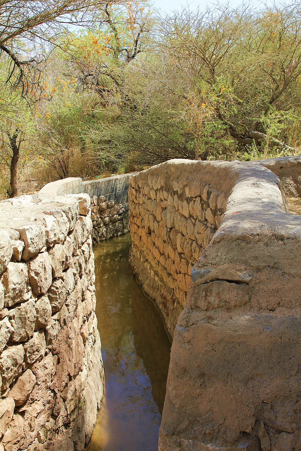 Aflaj Irrigation System of Oman, Oman