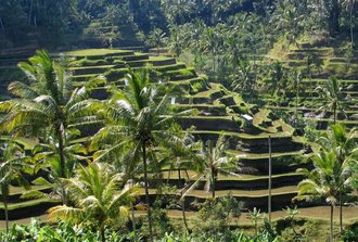 Cultural Landscape of Bali Province: the Subak System as a Manifestation of the Tri Hita Karana Philosophy, Indonesia