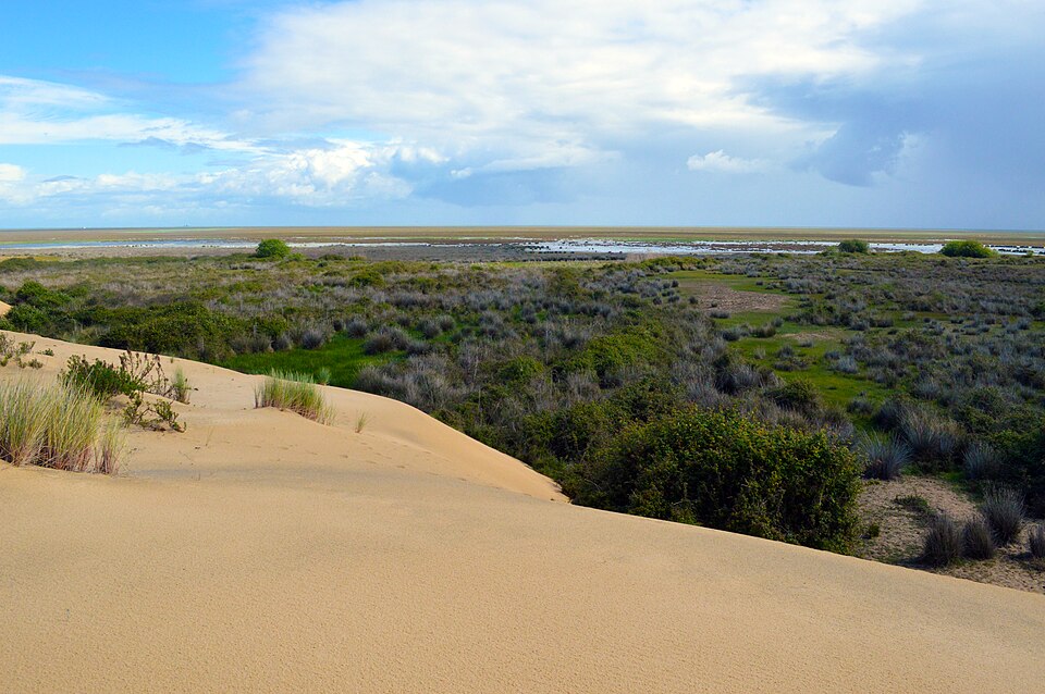 Doñana National Park, Spain