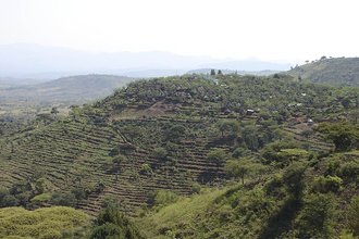 Konso Cultural Landscape, Ethiopia