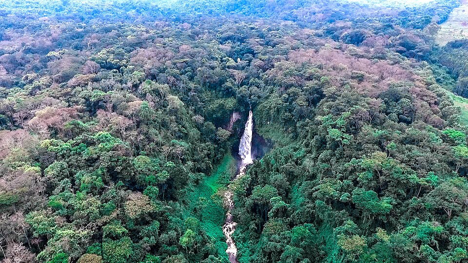Kahuzi-Biéga National Park, Democratic Republic of the Congo