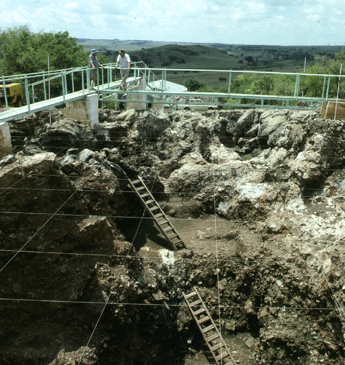 Cradle of Humankind, South Africa