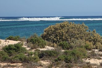 Ningaloo Reef, Australia