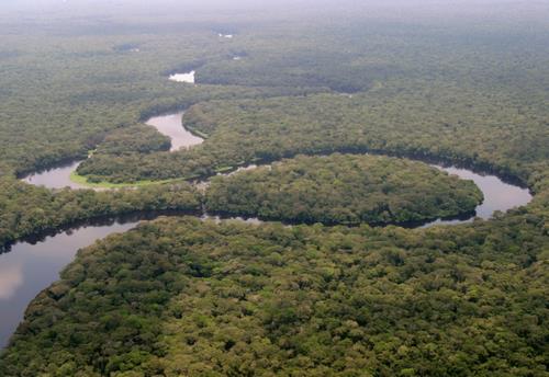 Salonga National Park, Democratic Republic of the Congo