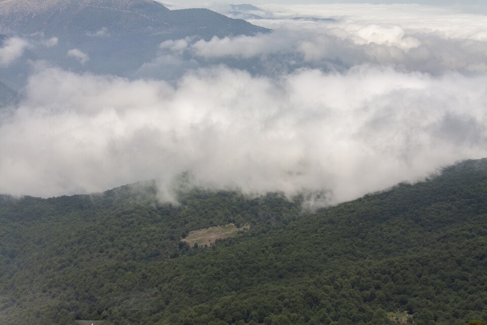Hyrcanian Forests, Iran