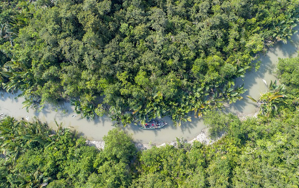 Sundarbans Reserved Forest, Bangladesh