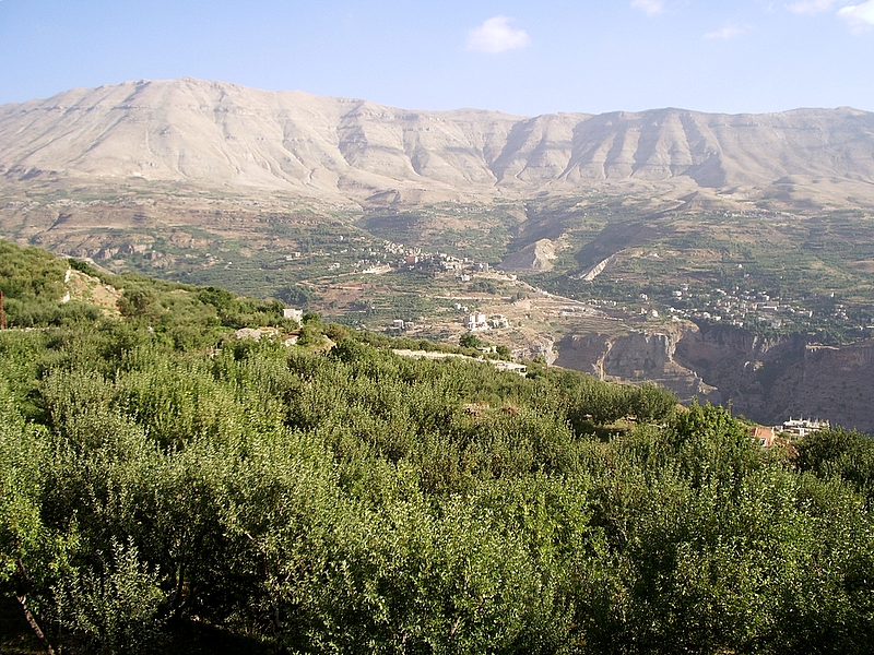 Ouadi Qadisha (the Holy Valley) and the Forest of the Cedars of God (Horsh Arz el-Rab), Lebanon
