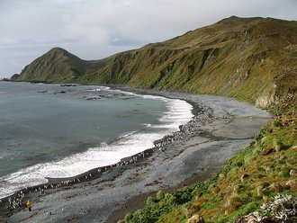Macquarie Island, Australia