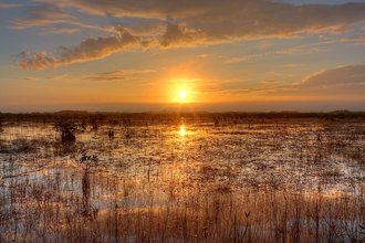Everglades National Park, United States