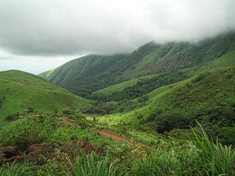 Mount Nimba Strict Nature Reserve, Côte d'Ivoire