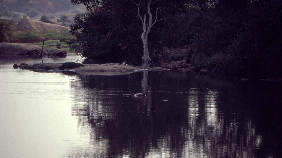 Comoé National Park, Côte d'Ivoire