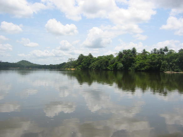 Gola-Tiwai complex, Sierra Leone