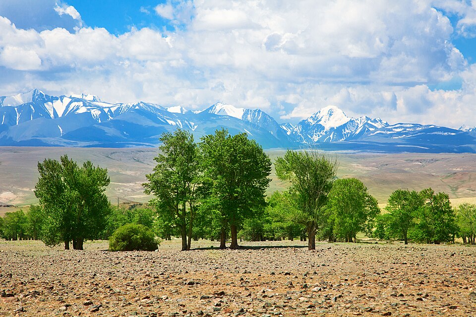 Golden Mountains of Altai, Russia