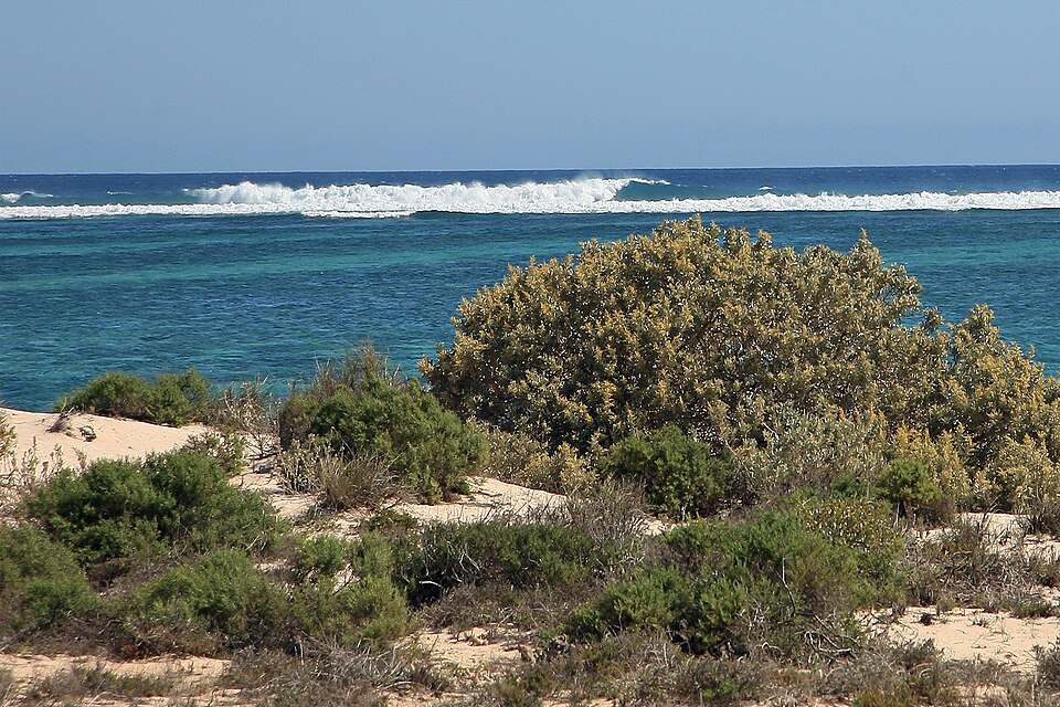 Ningaloo Reef, Australia